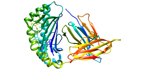 甲胎蛋白AFP检测方法及参考值