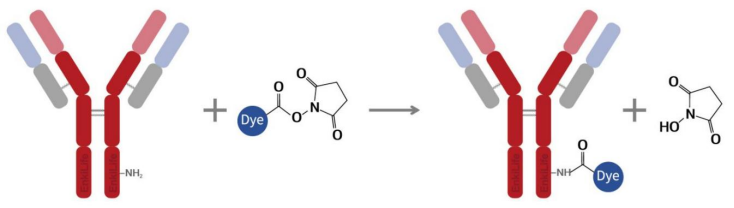 标记原理示意图