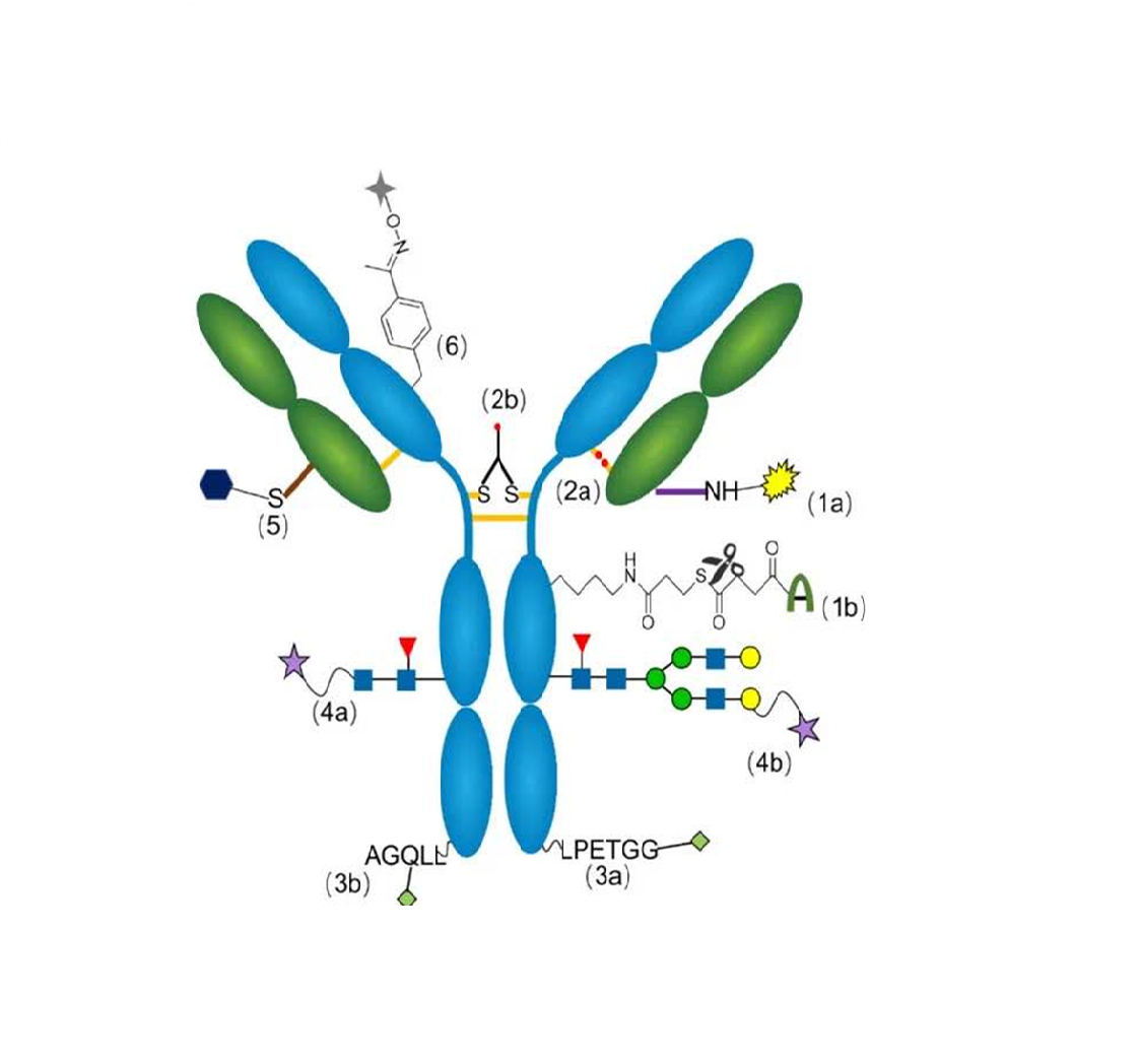 直接检测和间接检测方法