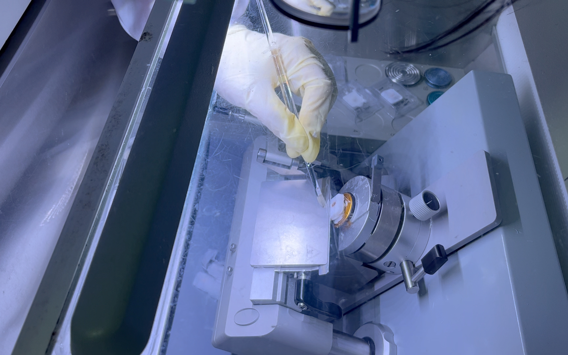 冰冻样本的免疫组化（IHC）检测