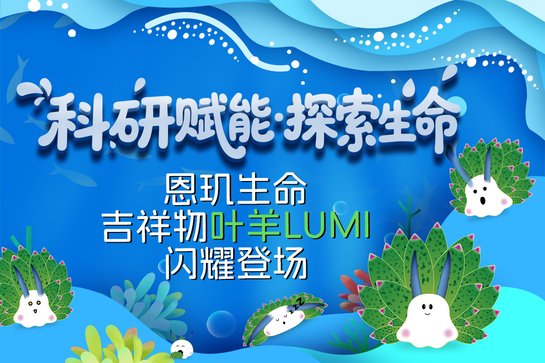 叶羊Lumi正式成为EnkiLife恩玑生命的吉祥物