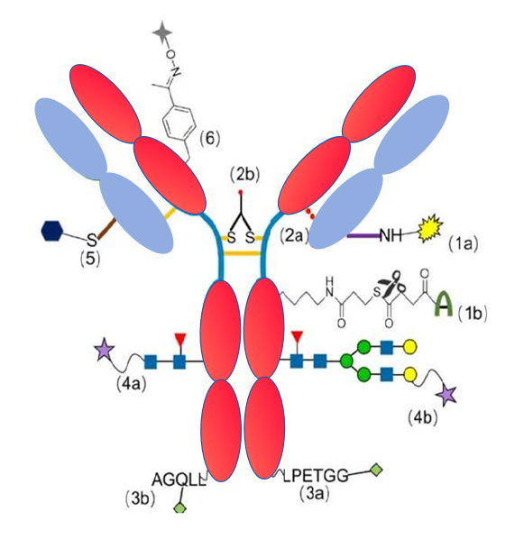 标记度DOL计算器 