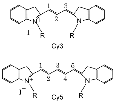 EnkiLife花菁荧光染料结构/光谱