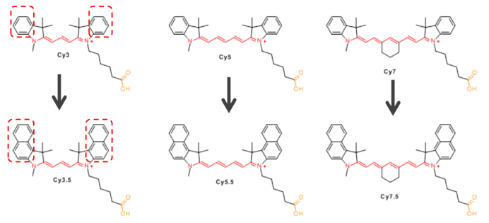 EnkiLife花菁荧光染料光谱