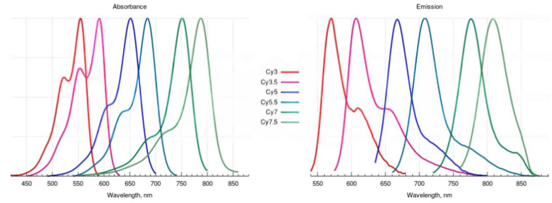 EnkiLife花菁荧光染料光谱