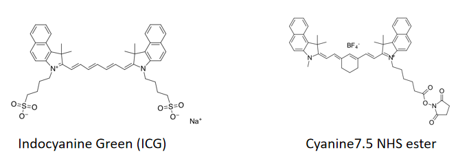 EnkiLife花菁荧光染料结构