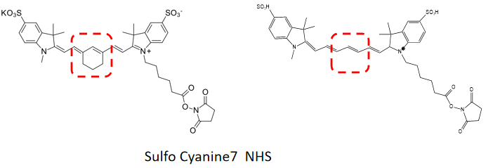EnkiLife花菁荧光染料结构