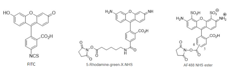 EnkiLife花菁荧光染料结构
