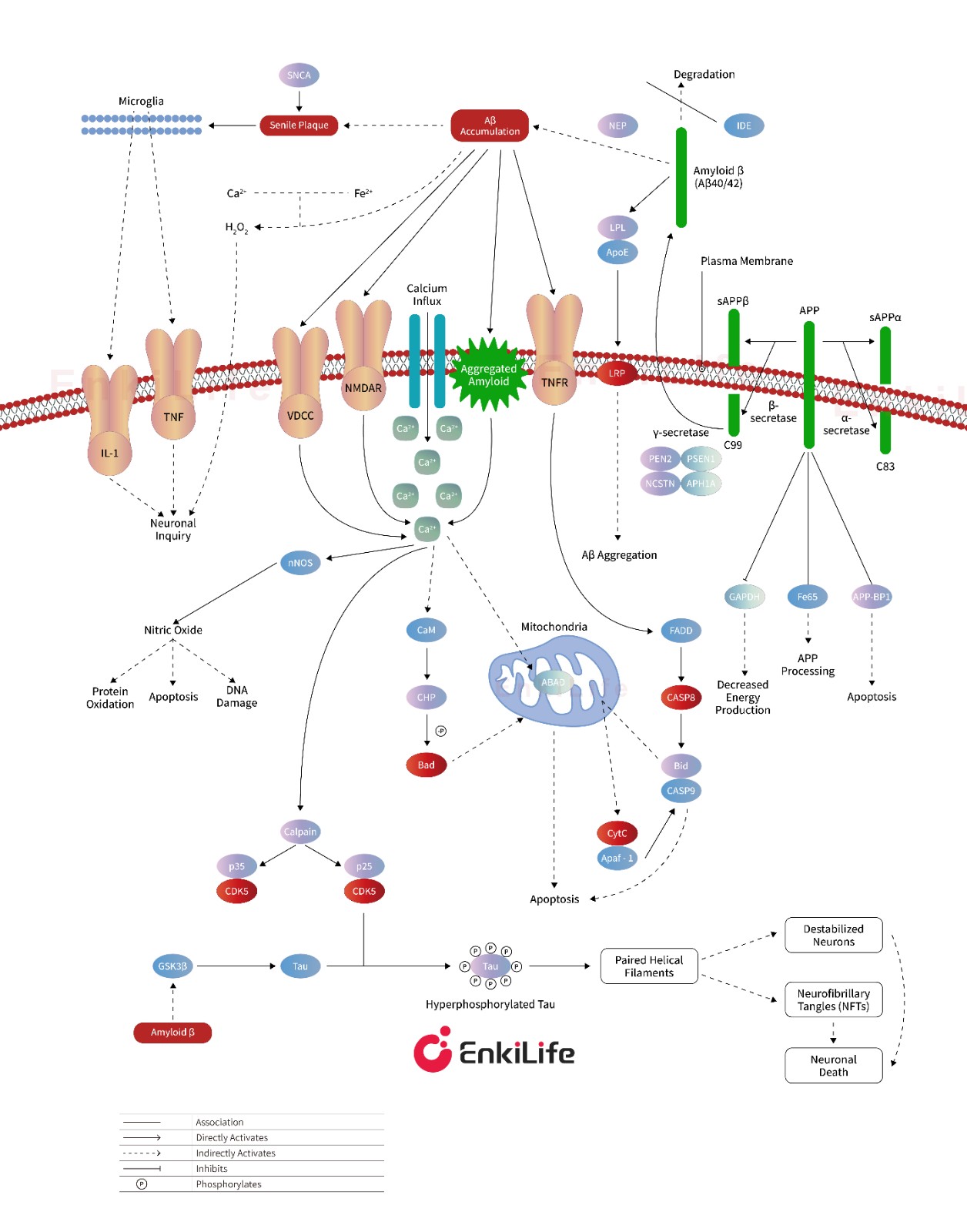 阿尔兹海默症机理图