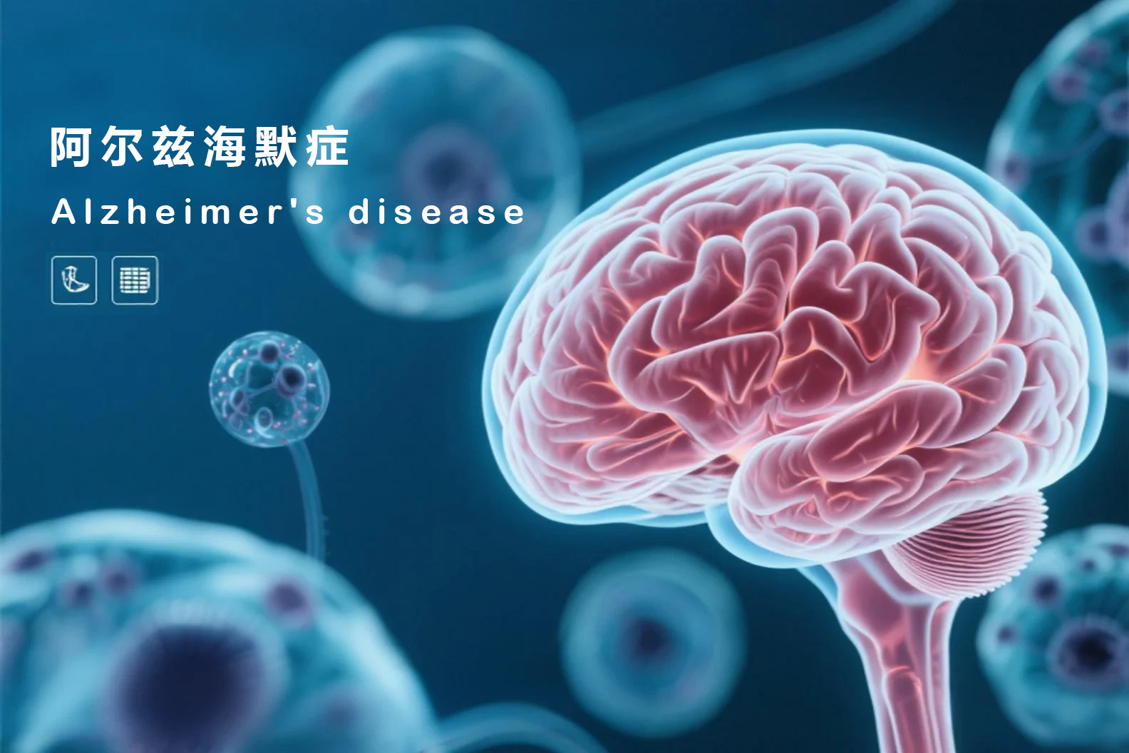 阿尔兹海默症（Alzheimer's disease，AD）是一种进行性发展的神经退行性疾病，也是老年痴呆中最常见的类型。EnkiLife提供高品质的阿尔兹海默症研究相关的抗体和ELISA试剂盒。