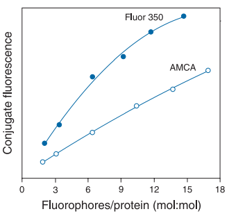 Fluor350与AMCA对比