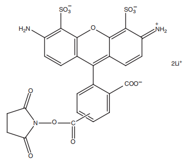 Fluor488SE化学结构