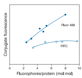 Fluor488与FITC对比
