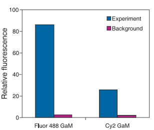 Fluor488与cy2对比