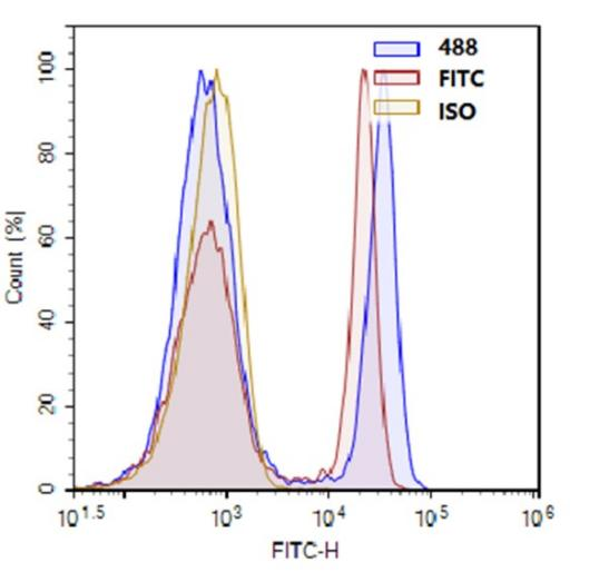 Fluor488与cy2对比