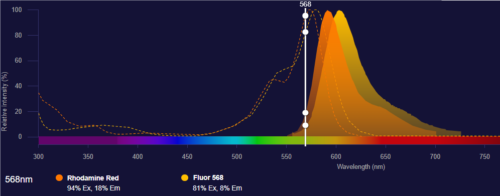 Fluor568光谱图2