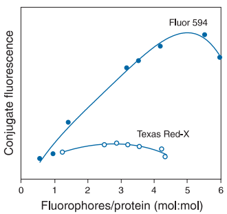 Fluo594与Texas Red对比