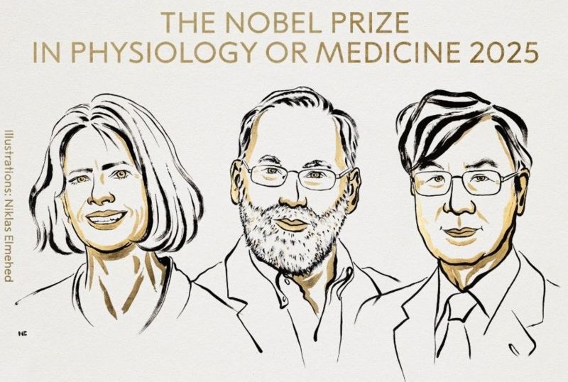 2025年诺贝尔生理学或医学奖揭晓