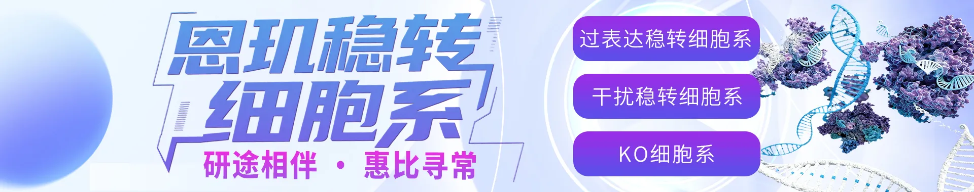 稳转细胞系构建活动