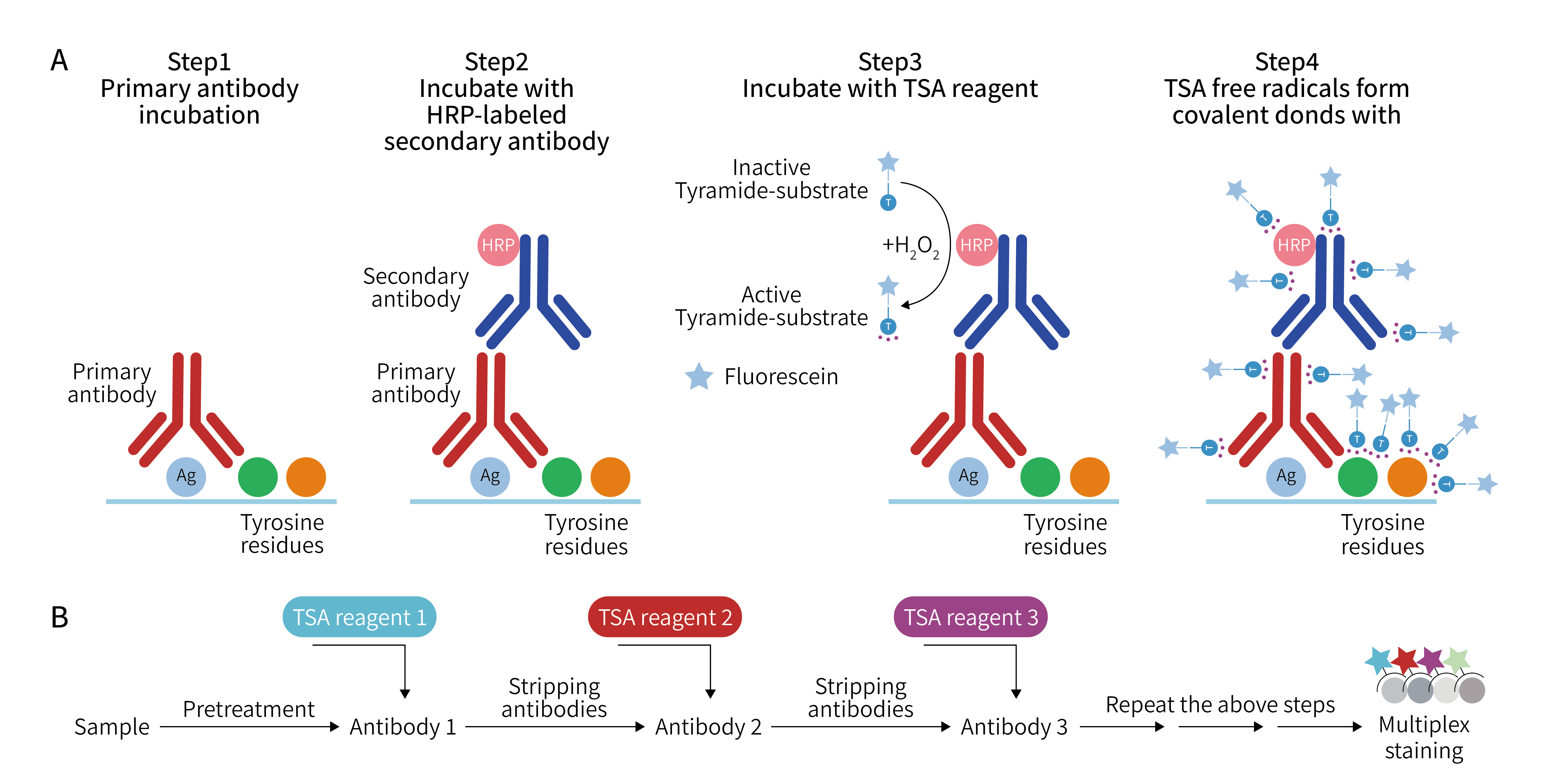 一文讲清TSA技术