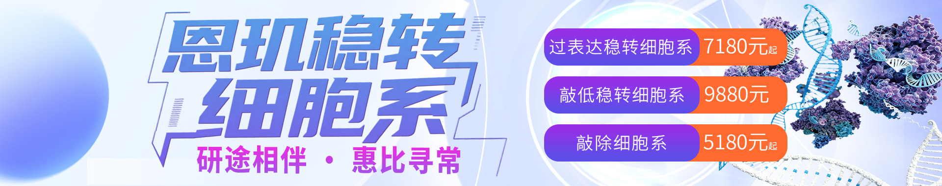 稳转细胞系构建活动