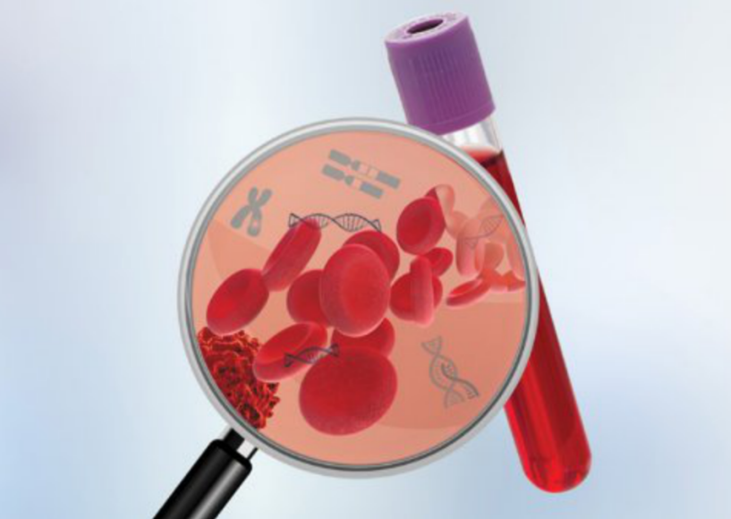 血清、血浆酶来源参照表