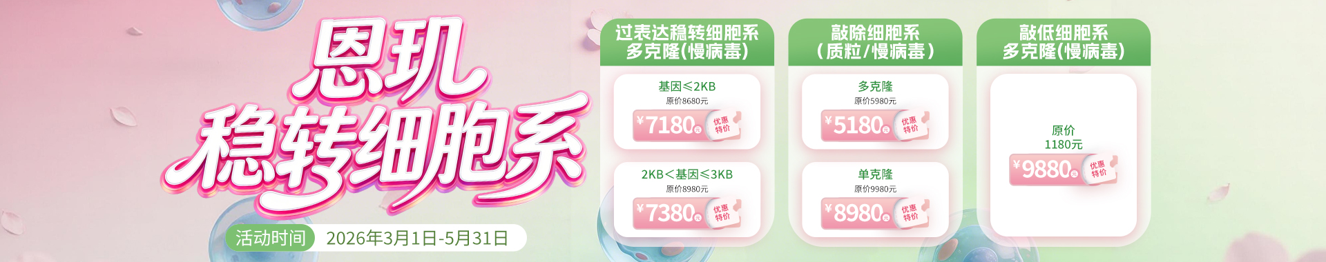 稳转细胞系构建活动