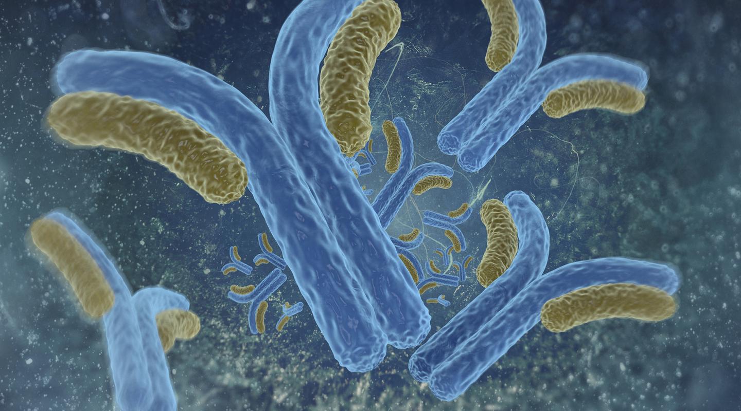 抗体纯化用哪种？常用方法大盘点，一看就懂