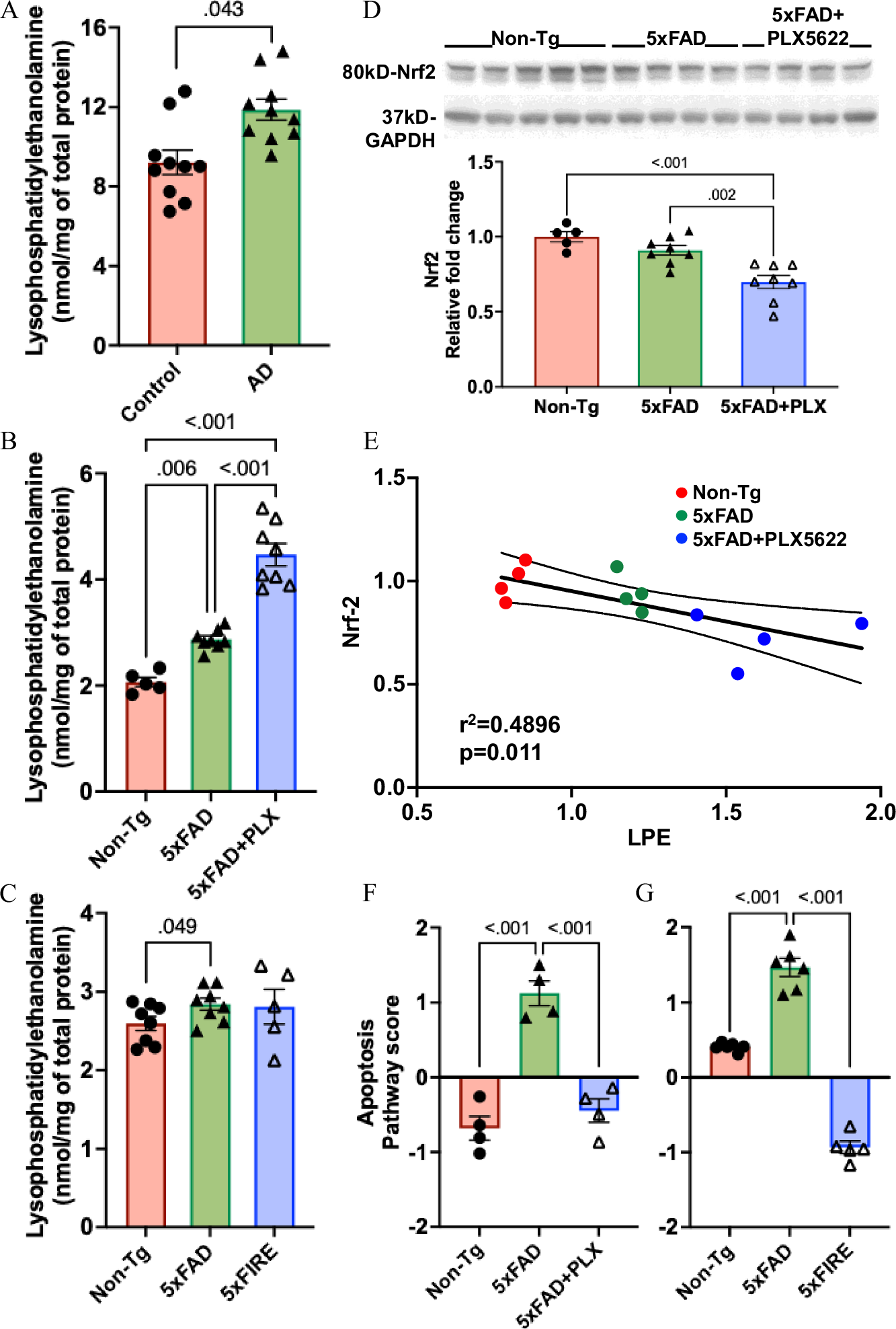 Fig. 6: Persistent lysophosphatidylethanolamine accumulation in 5xFAD mice despite microglial depletion.