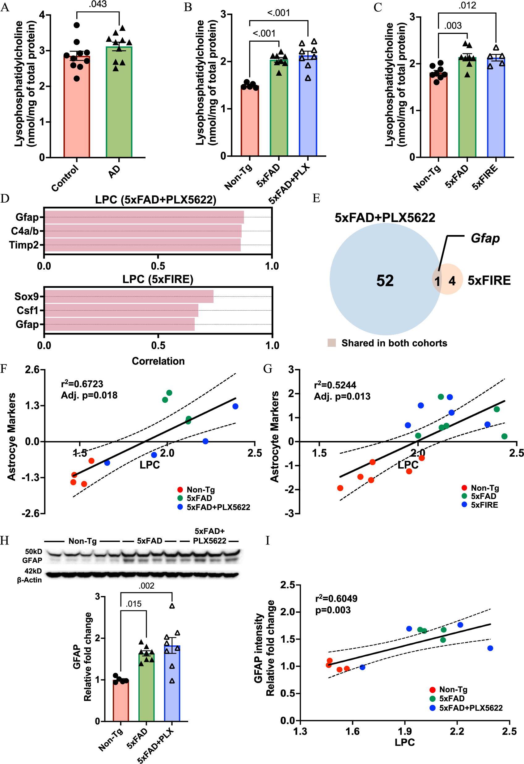Fig. 5: Microglia-independent lysophosphatidylcholine accumulation in 5xFAD mice correlates with astrocytic activation.