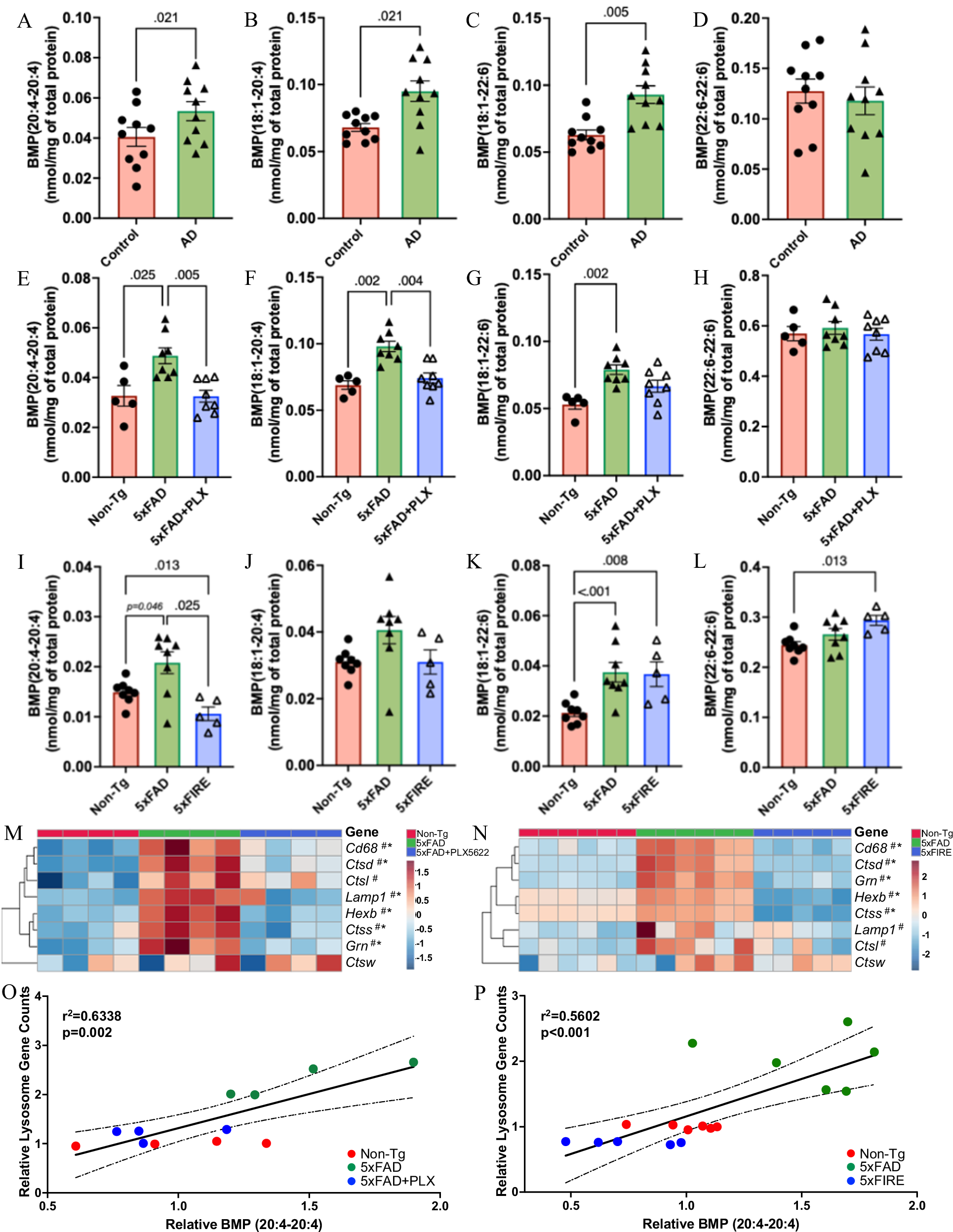 Fig. 3: Microglial depletion prevents lysosomal BMP accumulation in 5xFAD mice.