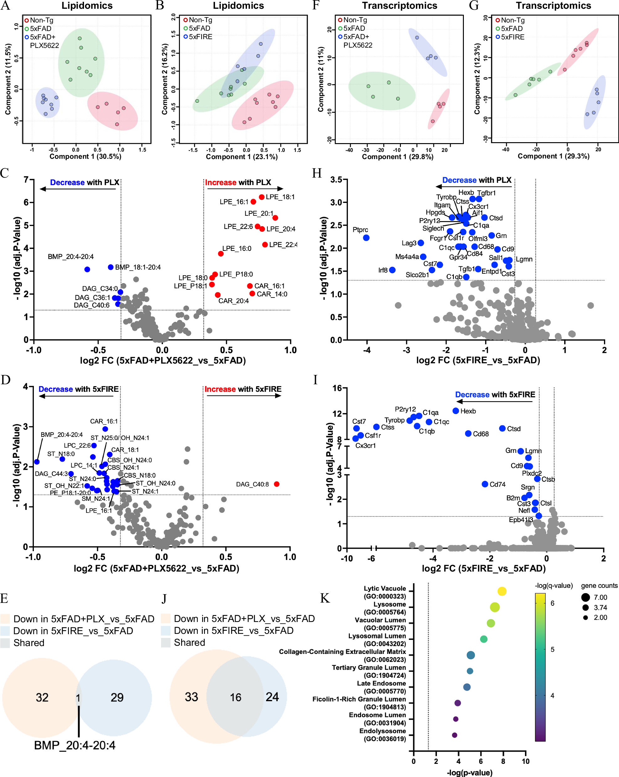 Fig. 2: Disrupted lysosomal metabolism in the brains of microglia-depleted 5xFAD mice revealed by shotgun lipidomics and targeted transcriptomics.