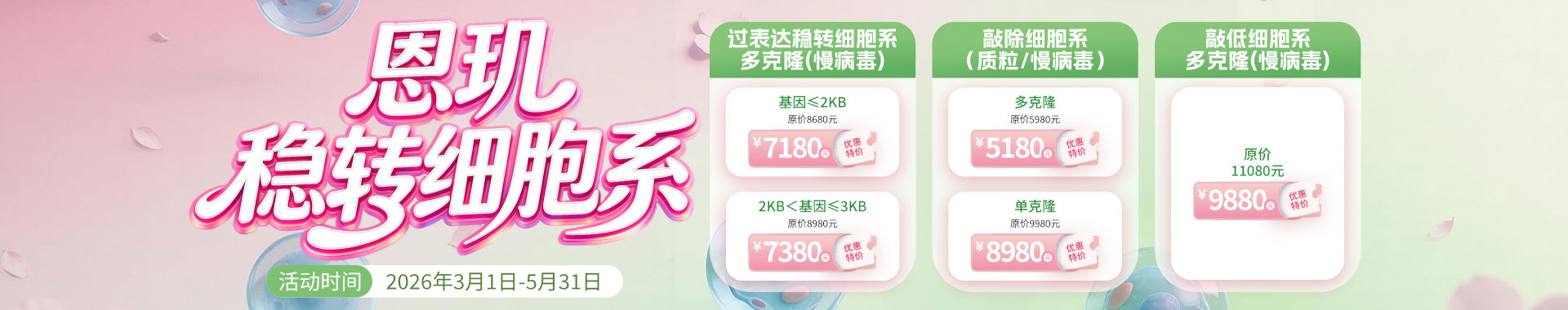 稳转细胞系构建活动