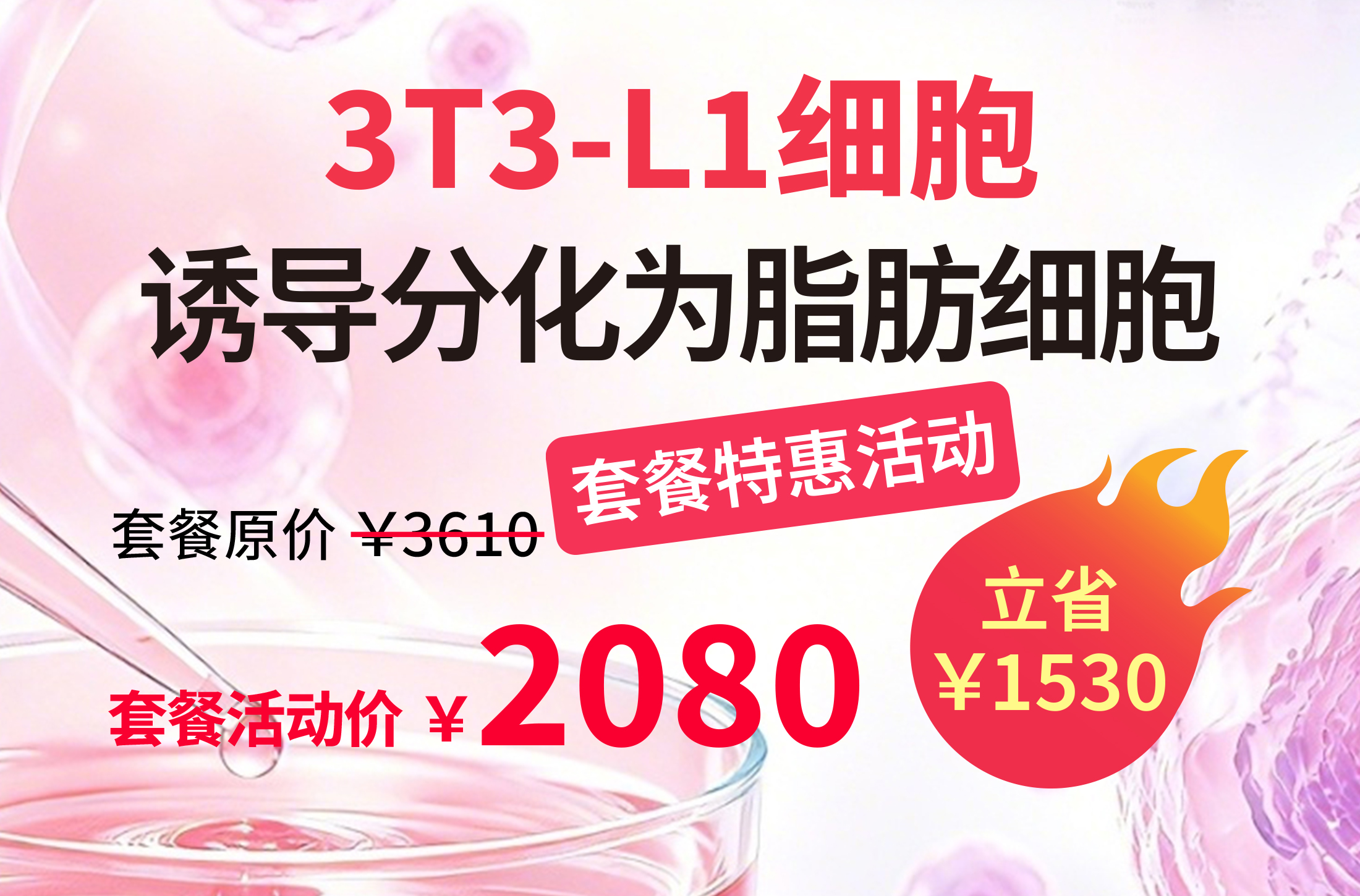 3T3-L1细胞诱导分化为脂肪细胞套餐活动