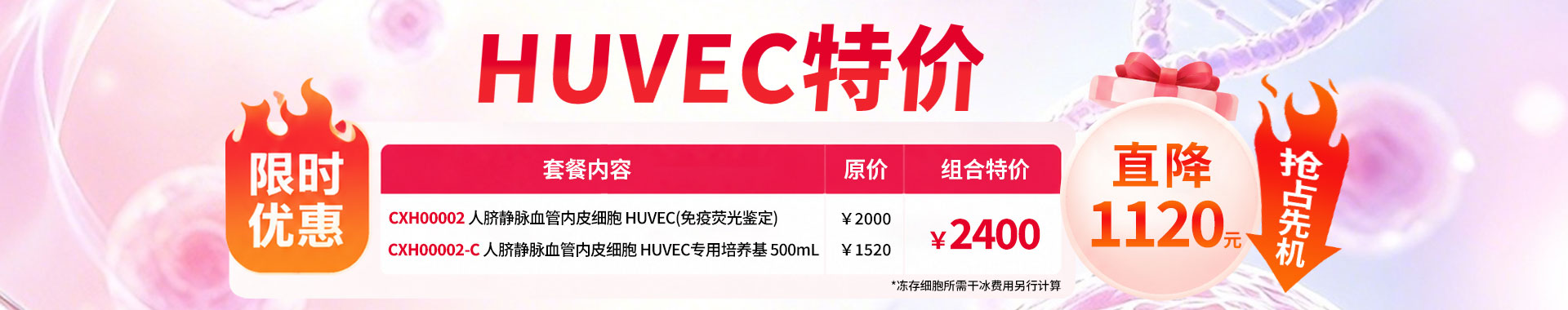 HUVEC