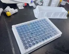 ELISA封闭步骤常见FAQs