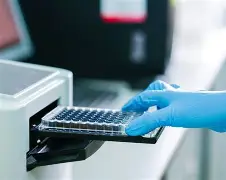 ELISA数据处理与结果解读FAQs