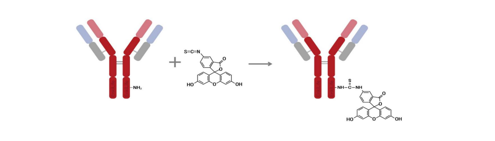 标记原理示意图