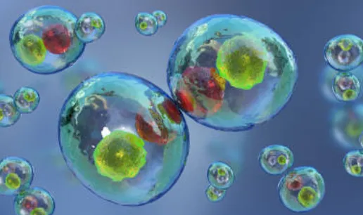 细胞培养之细胞传代篇