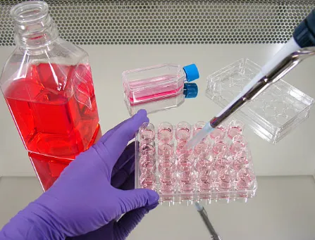 细胞培养之血清篇