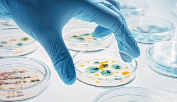 细胞培养之抗生素篇