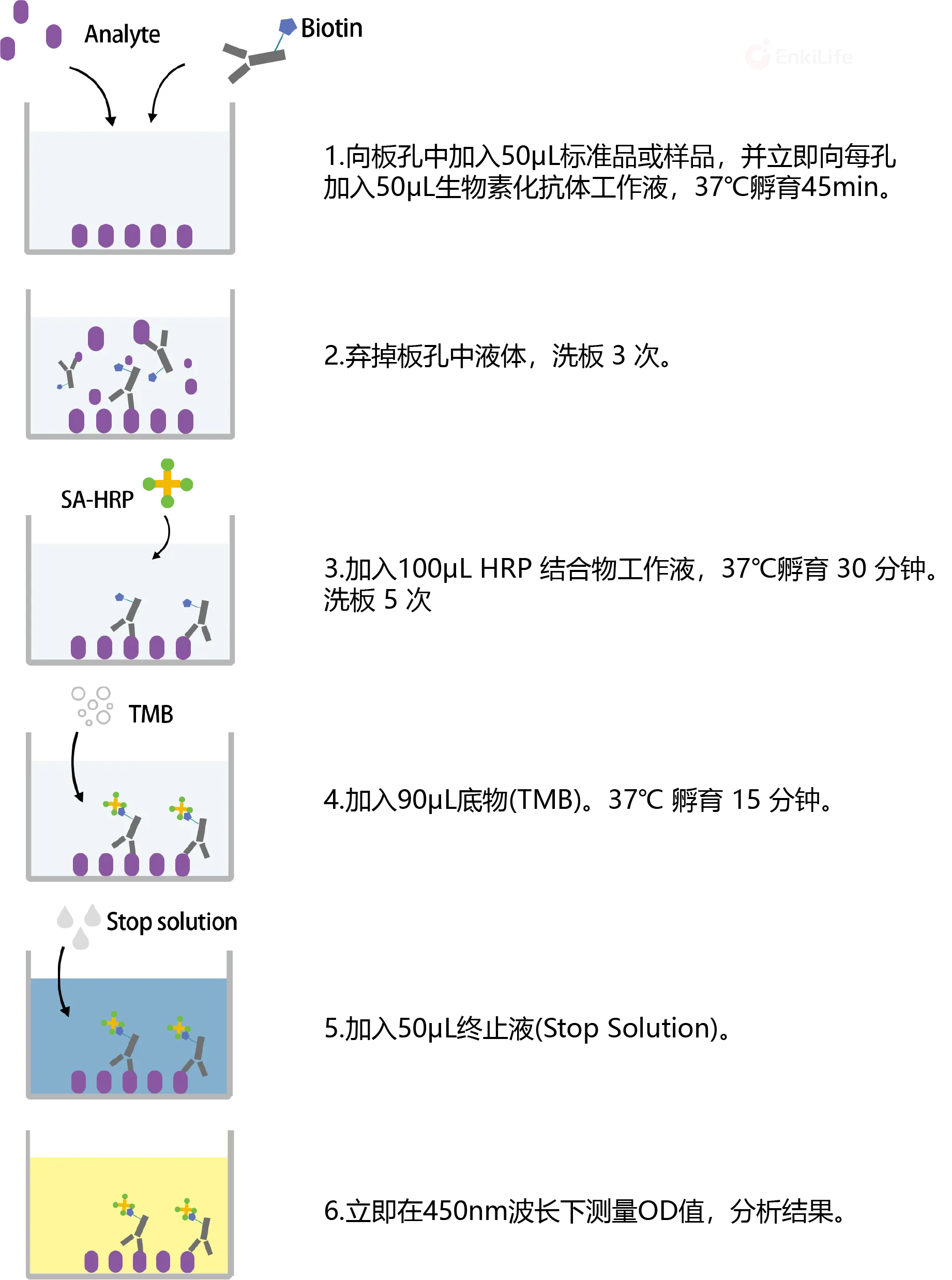 Standard Curve Image