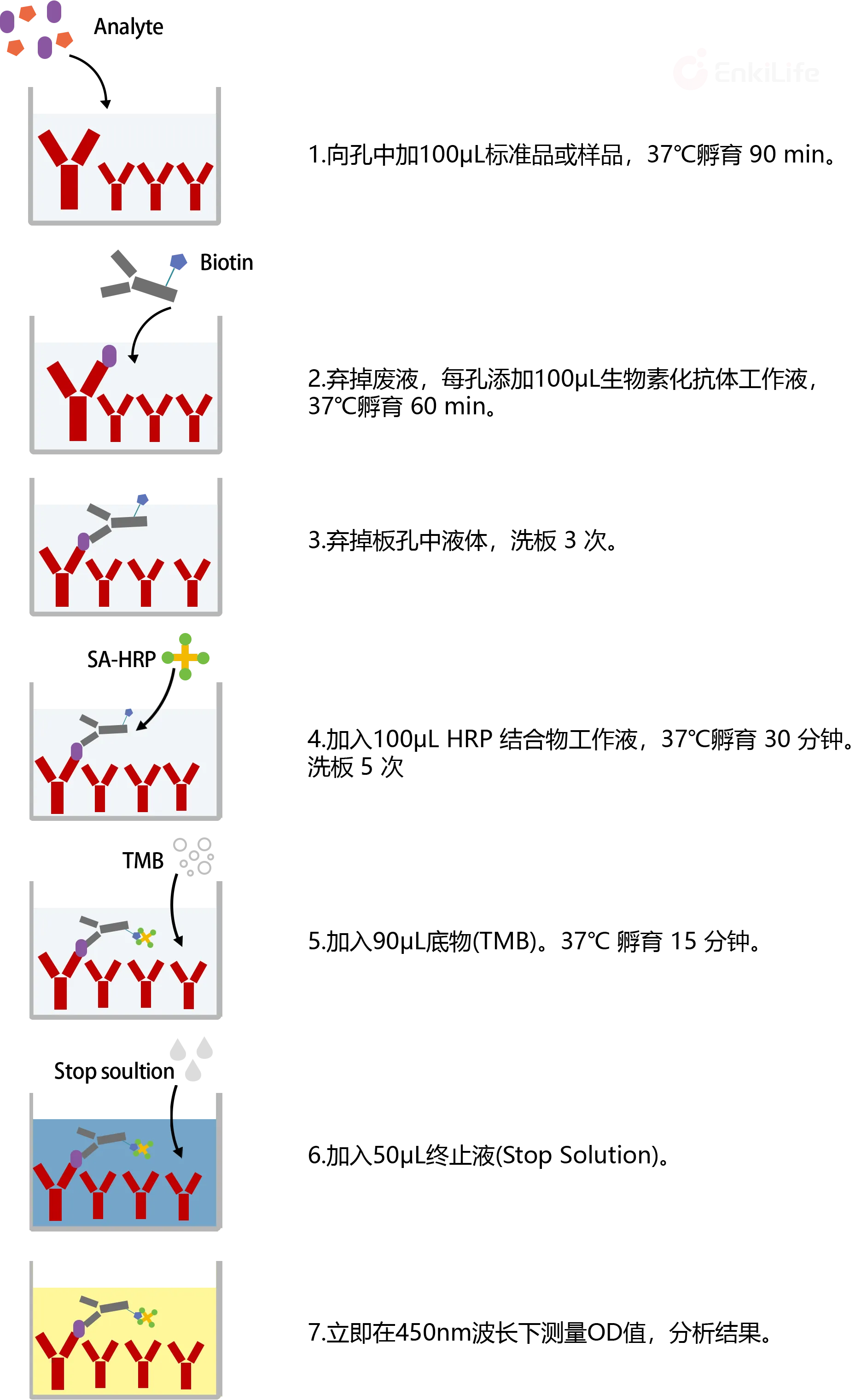 Standard Curve Image