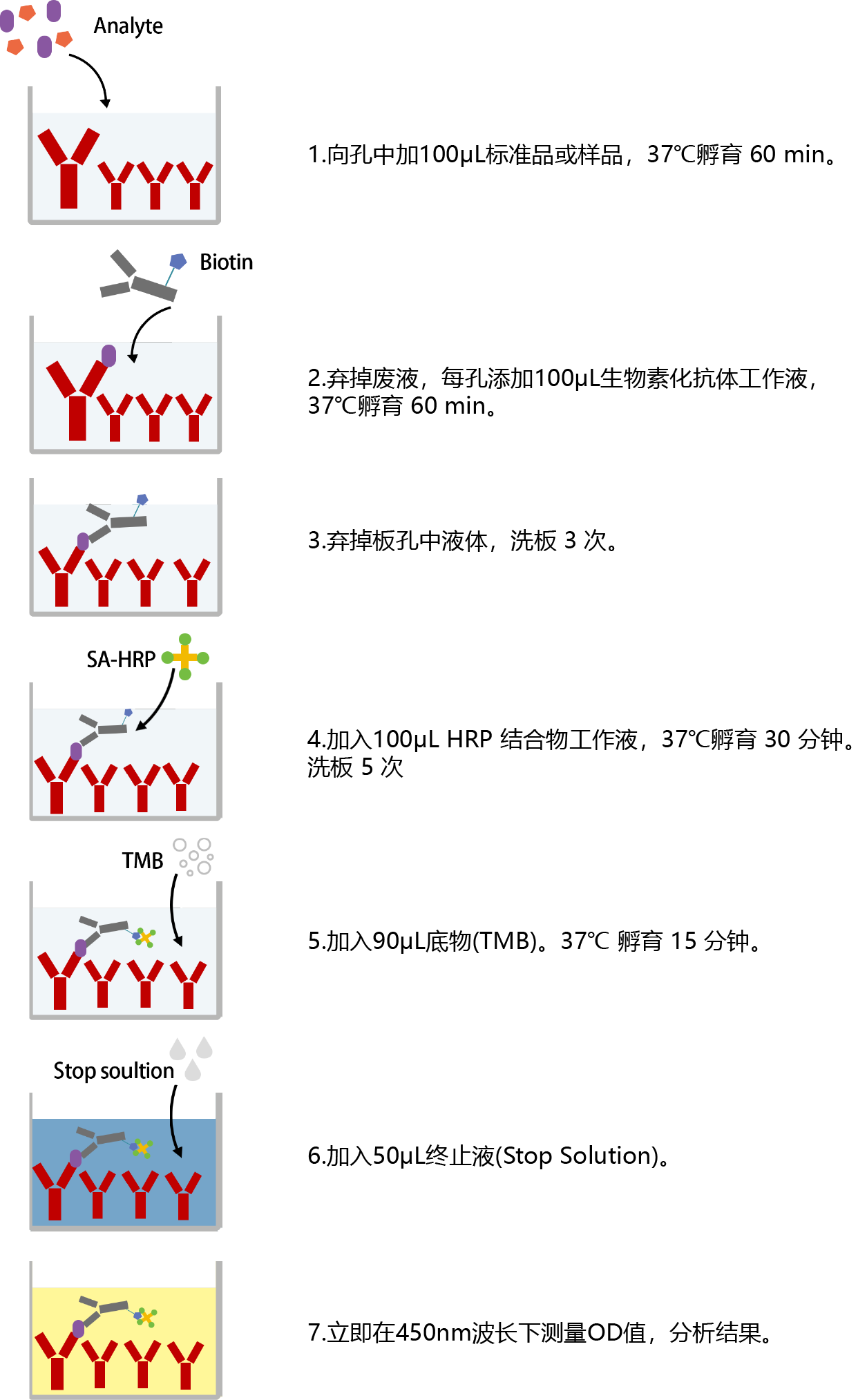 Standard Curve Image