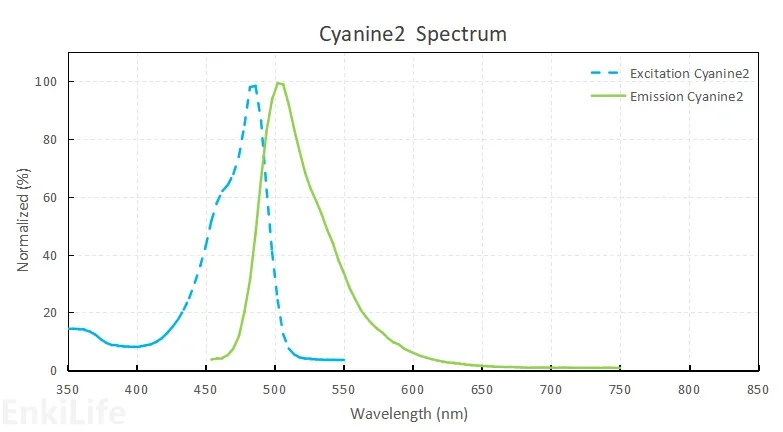 Cyanine2染料光谱图