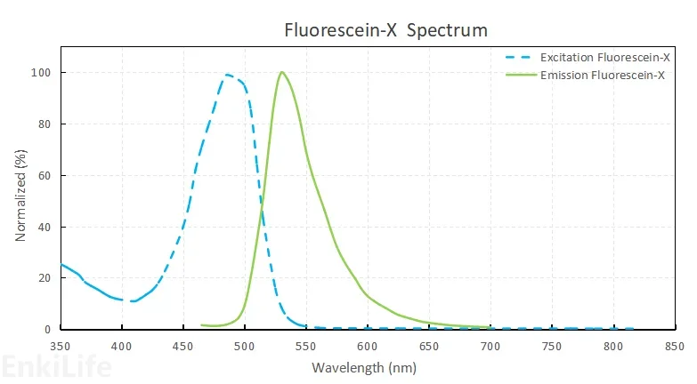 Fluorescein-X染料光谱图
